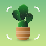 Discover Nature's Secrets with Plantum's Precision Plant ID