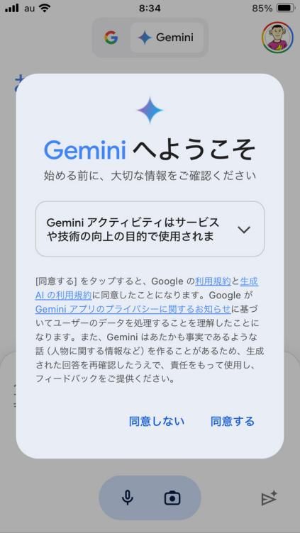 Geminiの初期設定をする方法