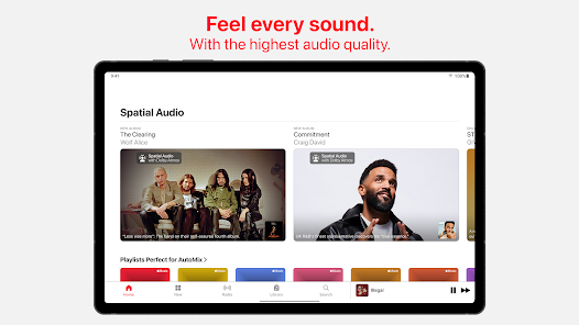 Enjoy Ambientual Sonic Quality, All Notes Crystal Clean
