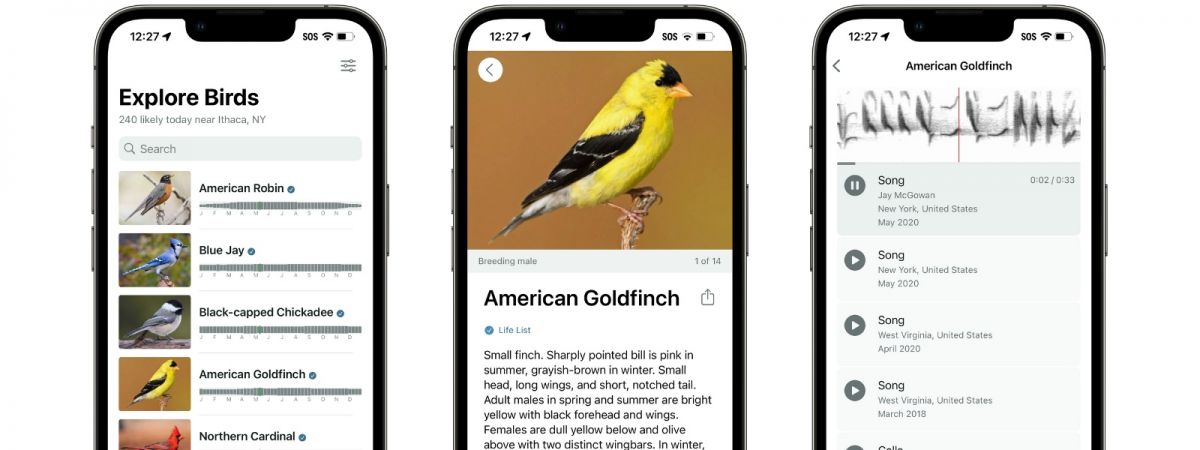 Build Your Personal Birding Journal