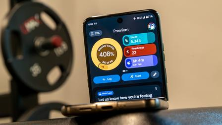 Playful Competition and Google Health Making Wellness a Shared Journey